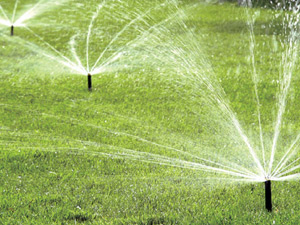 Irrigation Services